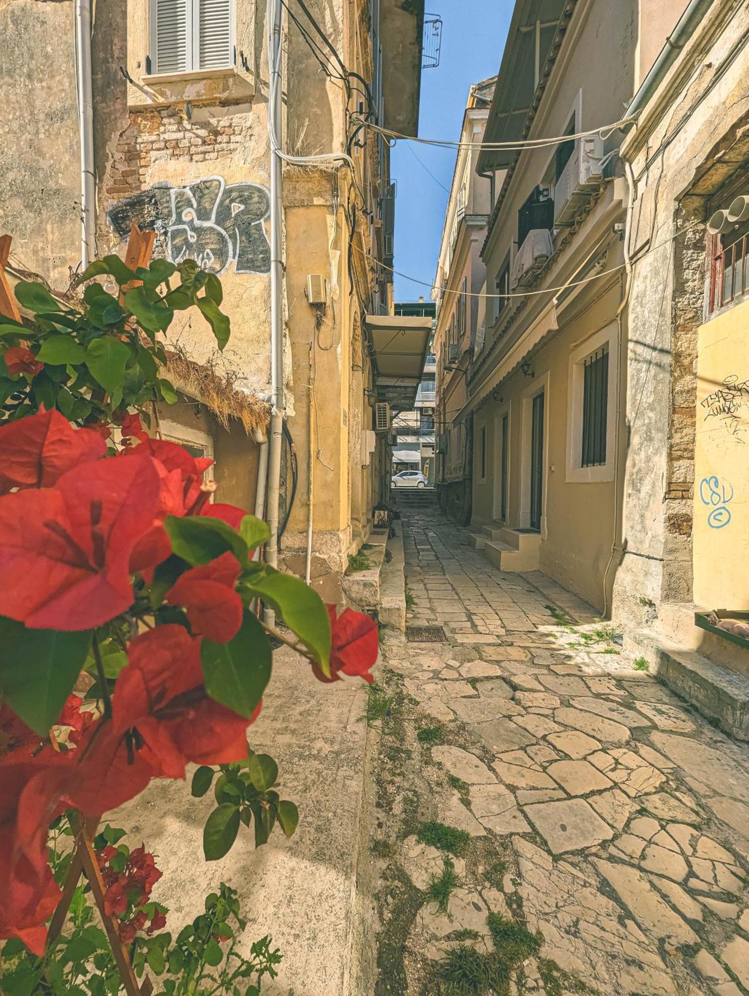Ionian Pearl Apartments And Suites Corfu  Zewnętrze zdjęcie
